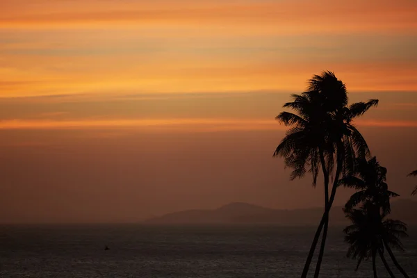 Palmen gegen Sonnenuntergang über dem Meer — Stockfoto