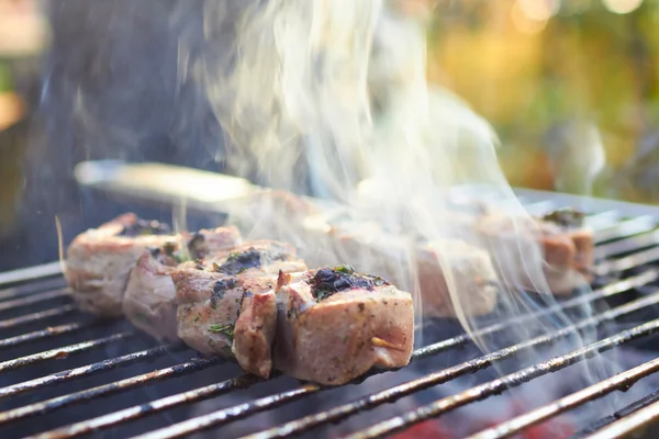 Vlees rolt gegrilde brochettes — Stockfoto