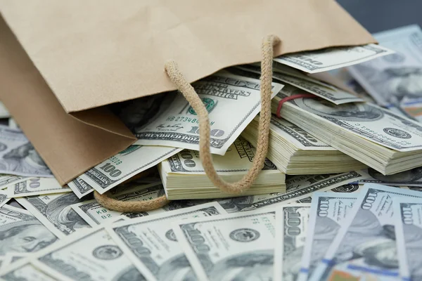 कागद पिशवीतून पैसे — स्टॉक फोटो, इमेज