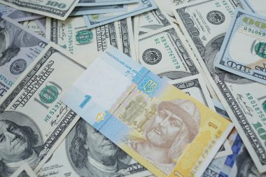 bir hryvnia ve yüz dolar