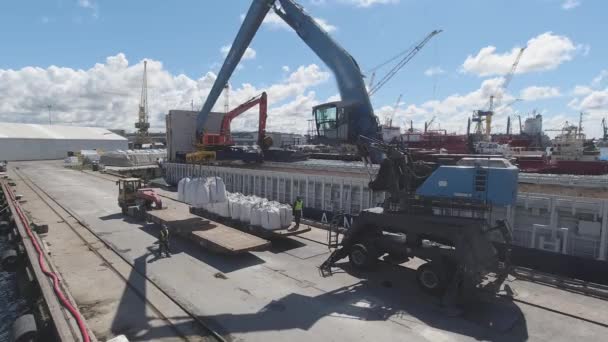 Grue industrielle transporte des sacs avec des engrais sur le navire — Video