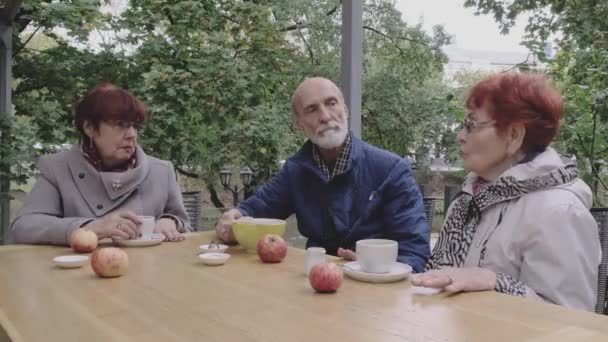 一群优雅的退休人员坐在一起喝茶 — 图库视频影像