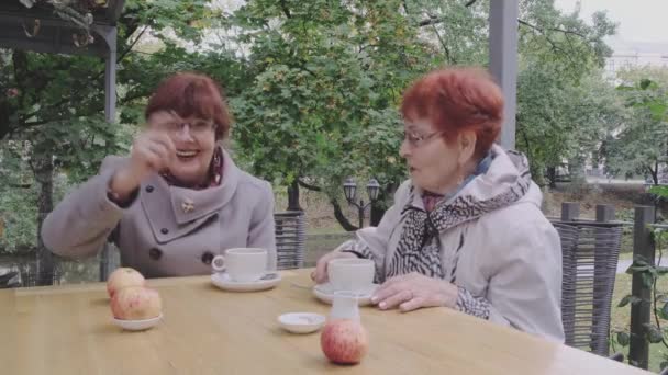 Пожилые женщины с рыжими волосами в пальто смеются сидя в кафе — стоковое видео
