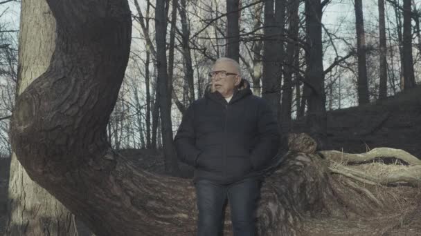 Pensionerad man i glasögon står mot en enorm trädstam — Stockvideo