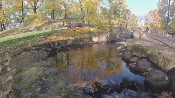 Cascata scende e crea tranquillo lago nel parco autunnale — Video Stock