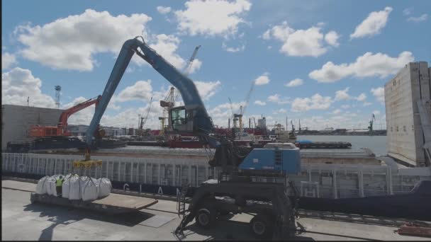 Crane flyttar påsar med mineralgödsel till lastrummet — Stockvideo