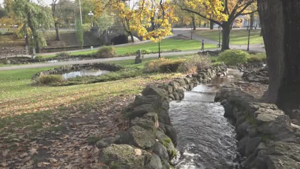 Smalle snelle waterstroom loopt tussen stenen oevers in het park — Stockvideo