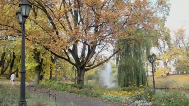 Lanterna antiga e árvore grande por pequena fonte no parque — Vídeo de Stock