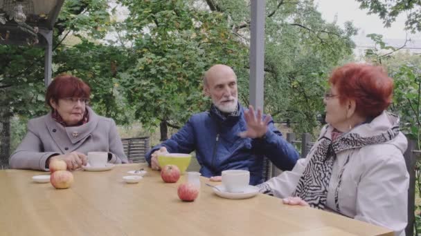 Старі друзі в пальто мають цікаву розмову в парку — стокове відео