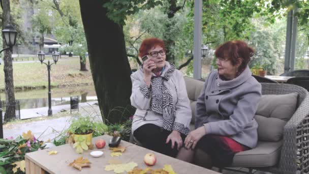 Элегантная пенсионерка слушает друга, говорящего по телефону — стоковое видео
