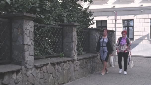 Senior women walk past stone fence near city garden closeup — Stock Video