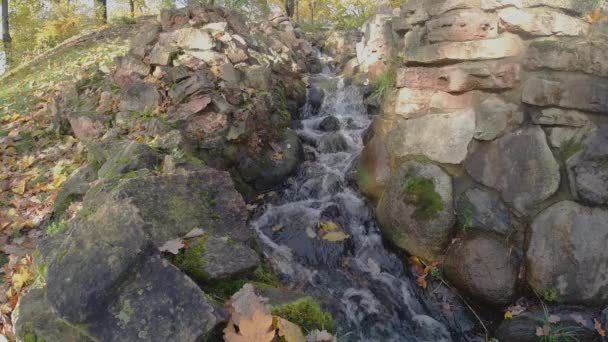 Kleine beek met stroomversnellingen loopt tussen bruine stenen in het park — Stockvideo