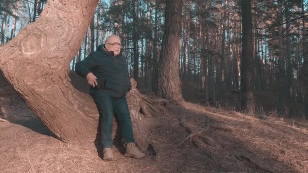 Ηλικιωμένος άνθρωπος κάθεται σε στραβό κορμό δέντρο κλήσεις αριθμό κλήσης — Αρχείο Βίντεο