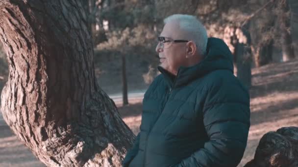 Pensionné assis sur un arbre tordu et regarde le paysage Séquence Vidéo Libre De Droits