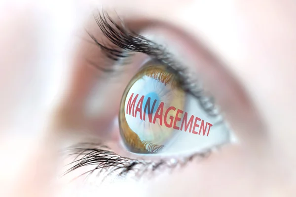 Reflexión de gestión en ojo . —  Fotos de Stock