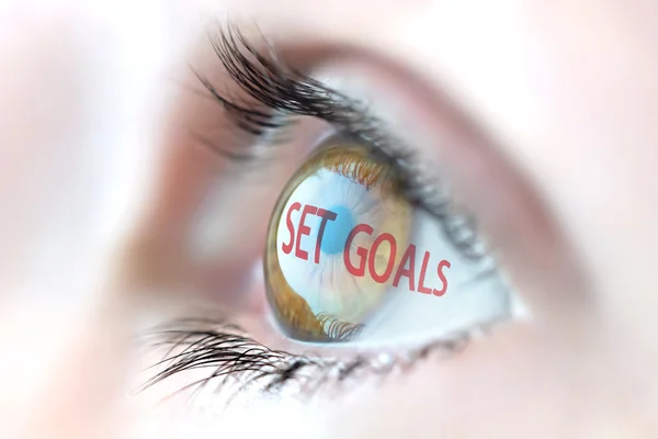 Set Goals reflection in eye. — Stock Photo, Image