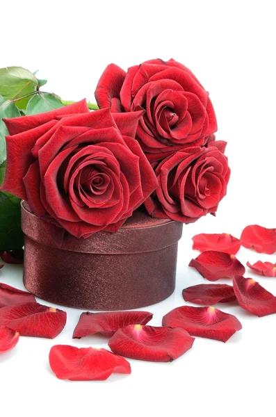 Dárkové krabice, květy a kytice rudých růží Stock Snímky