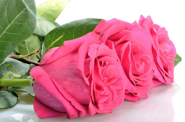 Buquê de três rosas cor-de-rosa deitadas sobre branco — Fotografia de Stock