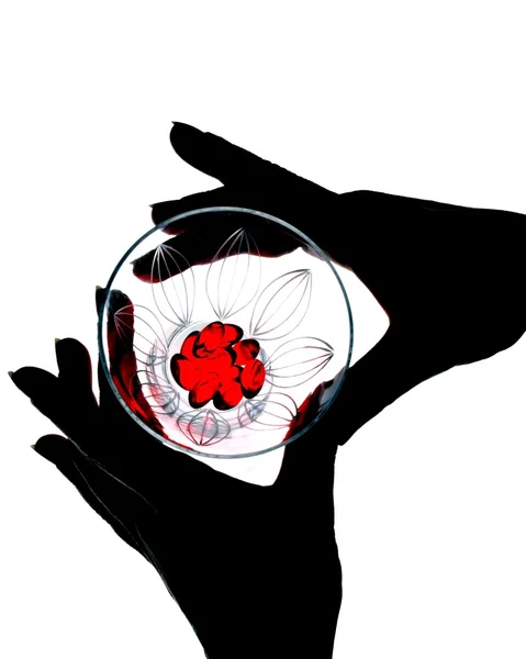 Silhouette of hands female hands covering the round transparent glass with red content — Stock Photo, Image