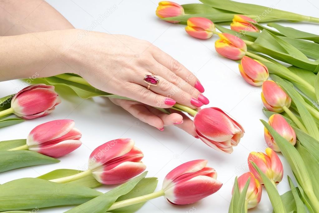 Flower of tulip in the two groomed female hands with beautiful manicure in decoration of flowers