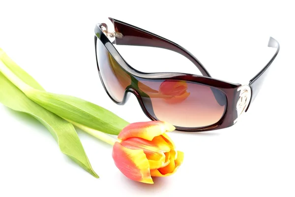 Натюрморт сонцезахисні окуляри і тюльпан на білому тлі — стокове фото