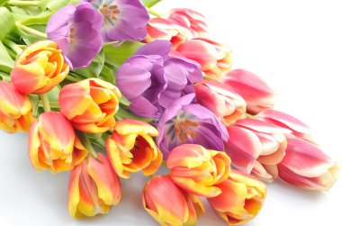 Buket renkli Çiçek Aranjman laleler için beyaz bir arka plan üzerinde kutlama için tebrikler