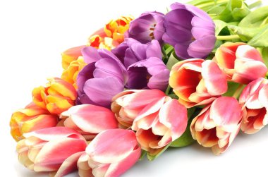 Buket renkli Çiçek Aranjman laleler için beyaz bir arka plan üzerinde kutlama için tebrikler