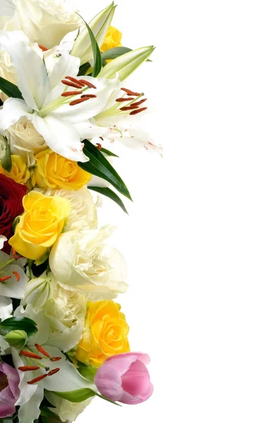 Kompozisyon çok renkli çiçekler farklı sınıflar - lilyum, güller, laleler ve beyaz zemin üzerine, metniniz için boş yer olduğunu