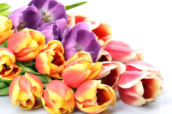 Bouquet Colorful flowers arrangement tulips for congratulations on the celebration on a white background — Stock Photo, Image