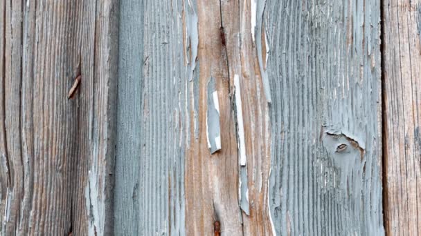 Дверная Панель Покрашенного Дерева Загородного Дома Италии Размытая Изношенная Обесцвеченная — стоковое видео