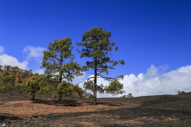 Sertleştirilmiş lav yanardağ mavi gökyüzü arka plan üzerinde.