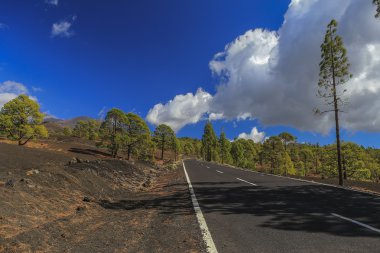 Çam ağaçlarıyla çevrili volkanın tepesine giden yol.