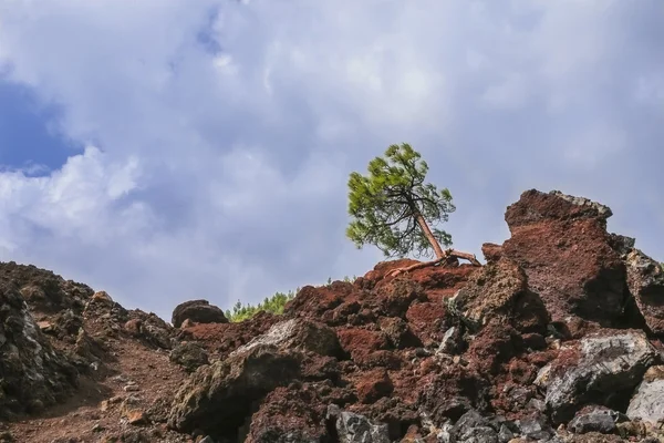 The hardened lava of the volcano on the background of blue sky. — Stock Photo, Image