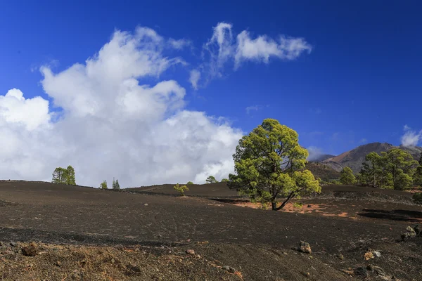 The hardened lava of the volcano on the background of blue sky. — Stock Photo, Image