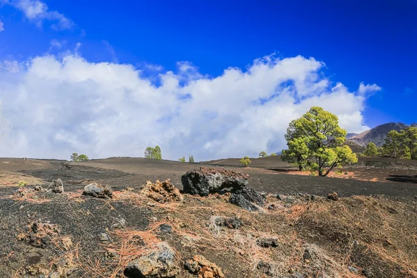 The hardened lava of the volcano on the background of blue sky. — Stock Photo, Image