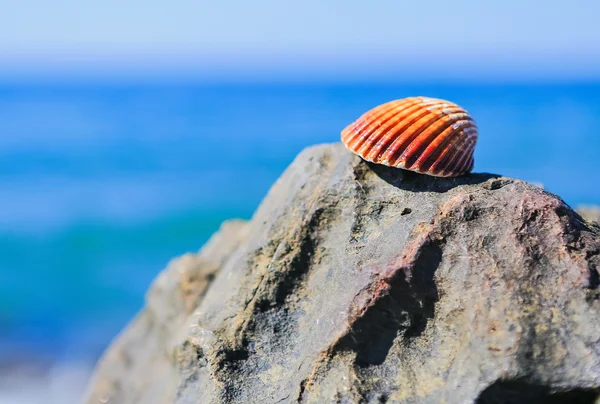 Sea pebbles — Stock Photo, Image