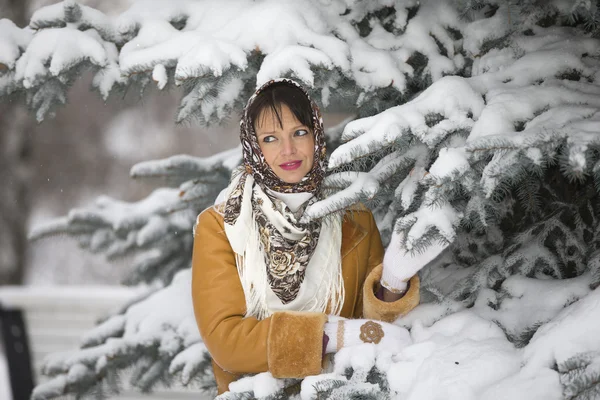 Girl about snowy spruce — Stock Photo, Image