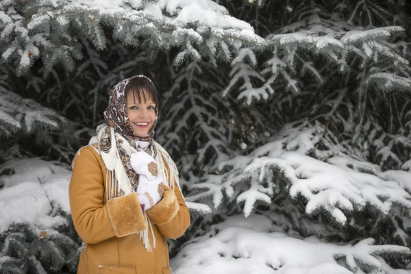 美丽的女孩，在下雪的圣诞节背景 图库照片