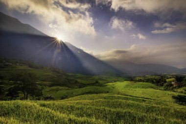 Y, Sapa, Laocai, Vietnam 'daki teras pirinç tarlaları dağlardan görüldü. Pirinç tarlaları Kuzeybatı Vietnam 'da hasat hazırlıyor.