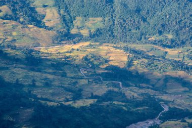 Y, Sapa, Laocai, Vietnam 'daki teras pirinç tarlaları dağlardan görüldü. Pirinç tarlaları Kuzeybatı Vietnam 'da hasat hazırlıyor.