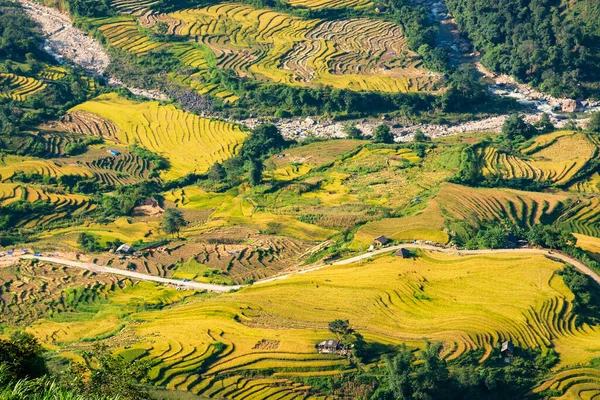 Terraços Arroz Sapa Laocai Vietnã Visto Das Montanhas Campos Arroz — Fotografia de Stock