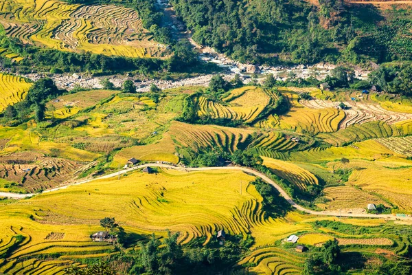 Terasovitá Rýžová Pole Sapa Laocai Vietnam Vidět Hor Rýžová Pole — Stock fotografie