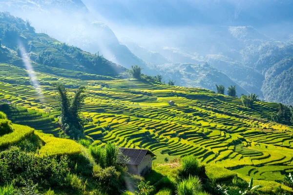 Terraços Arroz Sapa Laocai Vietnã Visto Das Montanhas Campos Arroz — Fotografia de Stock