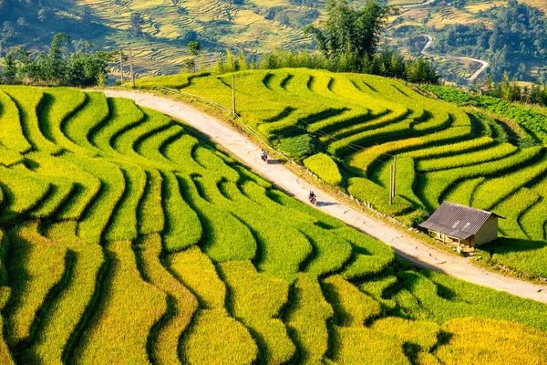 Terasovitá Rýžová Pole Sapa Laocai Vietnam Vidět Hor Rýžová Pole — Stock fotografie