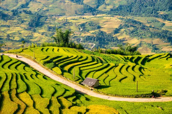 Terraços Arroz Sapa Laocai Vietnã Visto Das Montanhas Campos Arroz — Fotografia de Stock