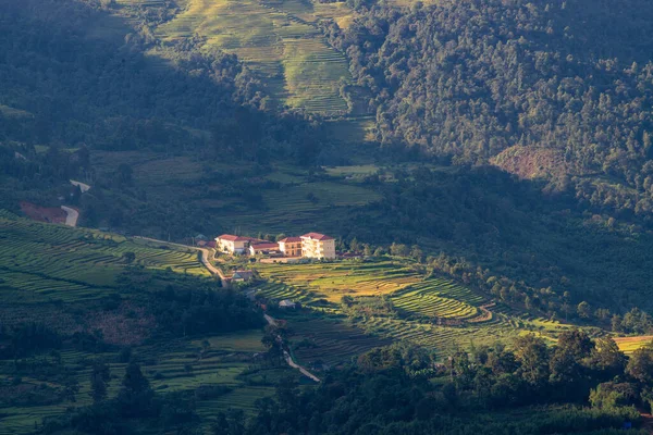 Terraced Rice Fields Sapa Laocai Vietnam Seen Mountains Los Campos —  Fotos de Stock