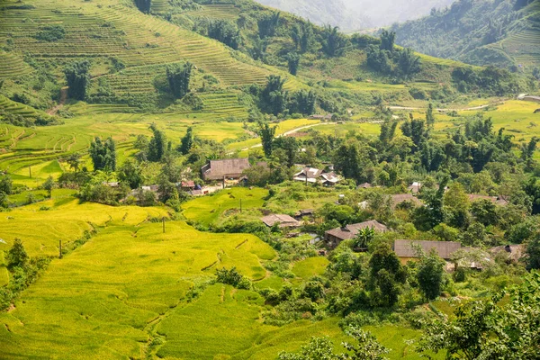 Terraced Ορυζώνες Sapa Laocai Βιετνάμ Δει Από Βουνά Ορυζώνες Προετοιμάζουν — Φωτογραφία Αρχείου