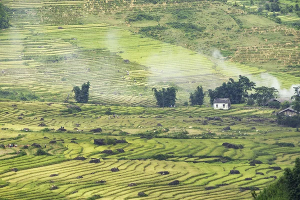 Terraced Ορυζώνες Sapa Laocai Βιετνάμ Δει Από Βουνά Ορυζώνες Προετοιμάζουν — Φωτογραφία Αρχείου