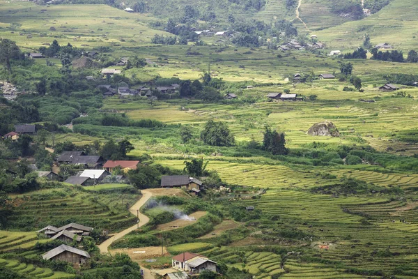 Terraços Arroz Sapa Laocai Vietnã Visto Das Montanhas Campos Arroz — Fotografia de Stock