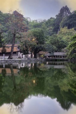 Bobax Ceiba çiçeği Thay Pagoda 'da. O bölge, Ha Tay Eyaleti, Vietnam.